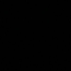 Meet your Posher, Jesus